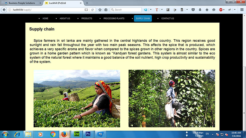 Luck hill company(pvt)ltd (Tea factory & Exports science 1945) – Gampola